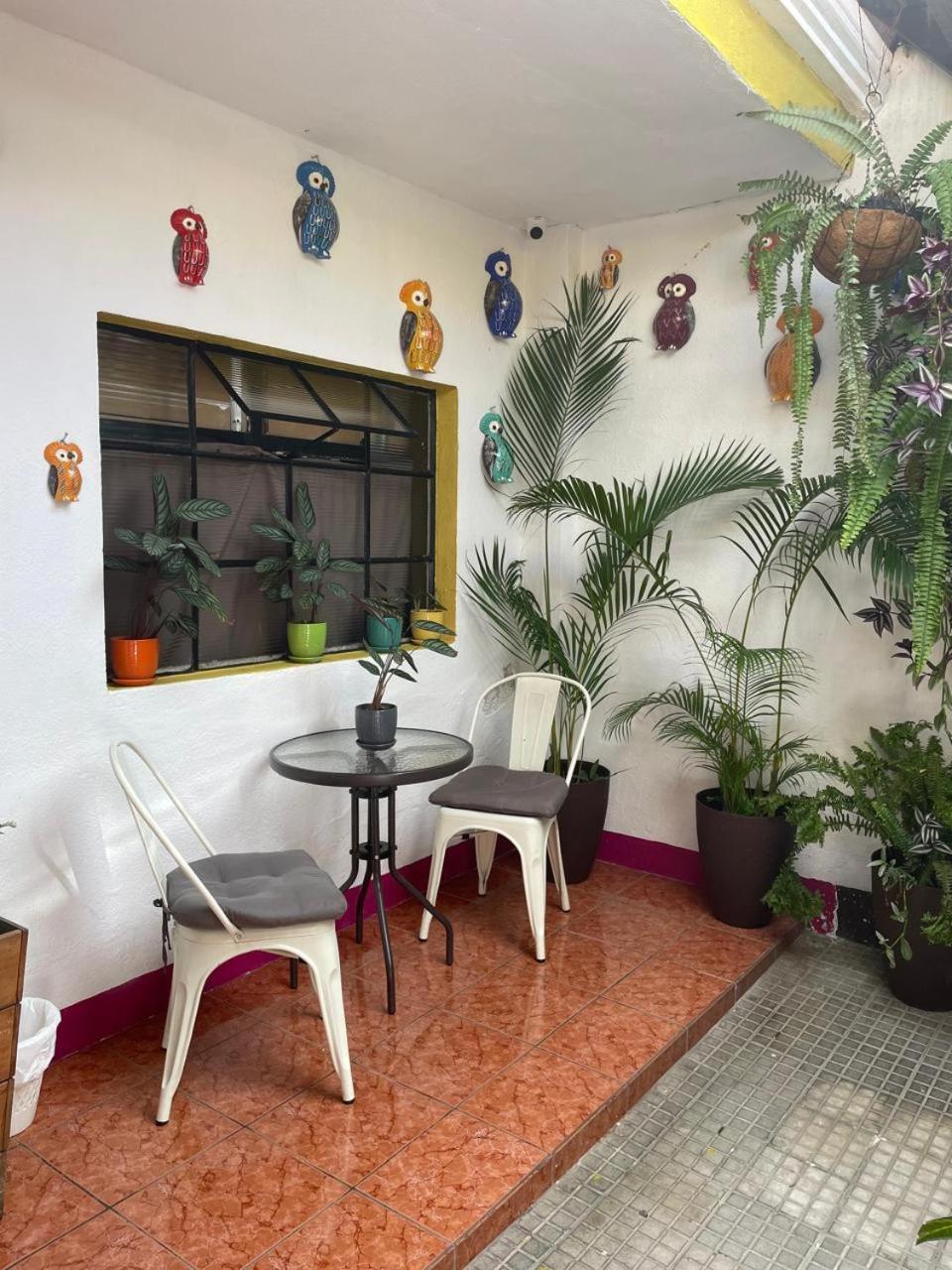 One Day Trip Hostel Antigua Esterno foto